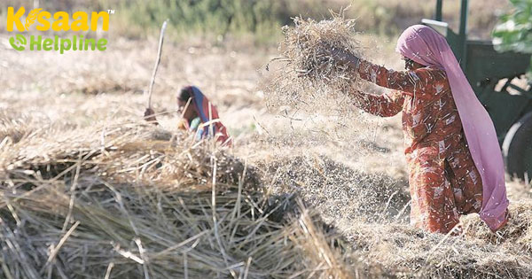 यह पोषण संबंधी आत्मनिर्भरता का समय है, लेकिन नीति निर्माता अभी भी खाद्य सुरक्षा पर बात कर रहे हैं यह पोषण संबंधी आत्मनिर्भरता का समय है, लेकिन नीति निर्माता अभी भी खाद्य सुरक्षा पर बात कर रहे हैं
